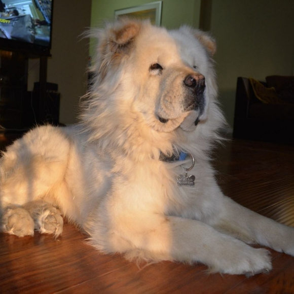 Welcome to my Closet! 💐 - Picture 11 of 14